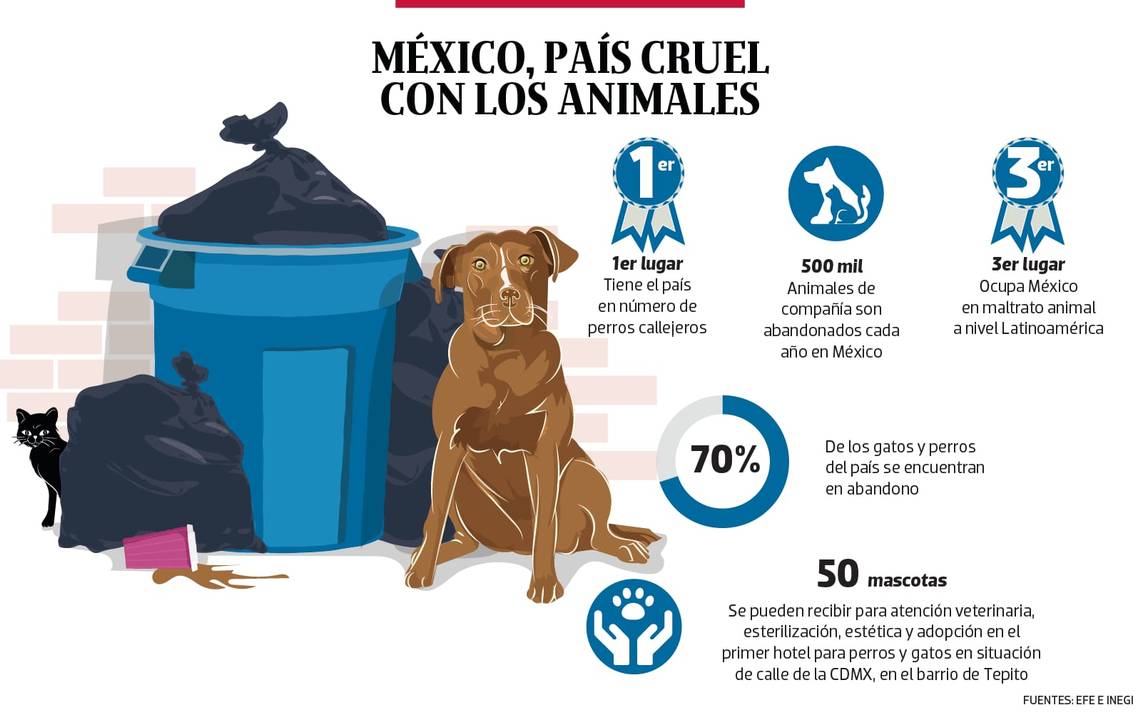 México, País Cruel Con Los Animales - El Sol De México | Noticias ...